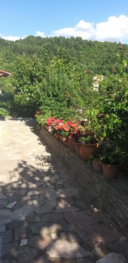 Το Σπίτι Της Ευτυχίας Σουίτα Lägenhet Karpenísion Exteriör bild